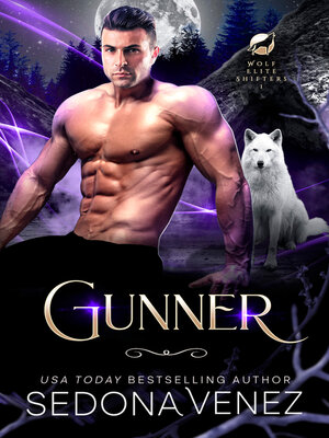 cover image of Gunner